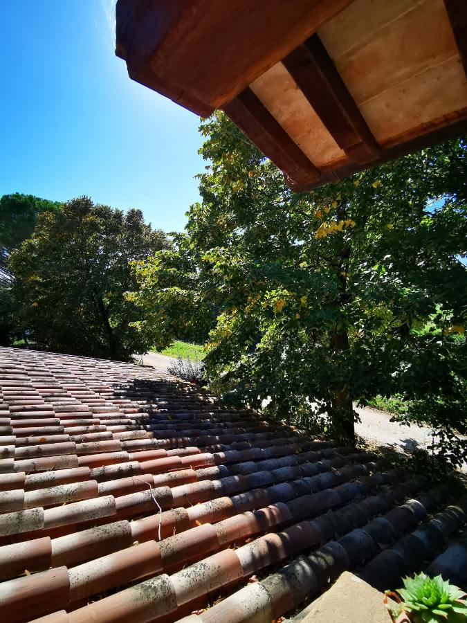 Bed and Breakfast La Casa Dei Tigli à Cannara Extérieur photo