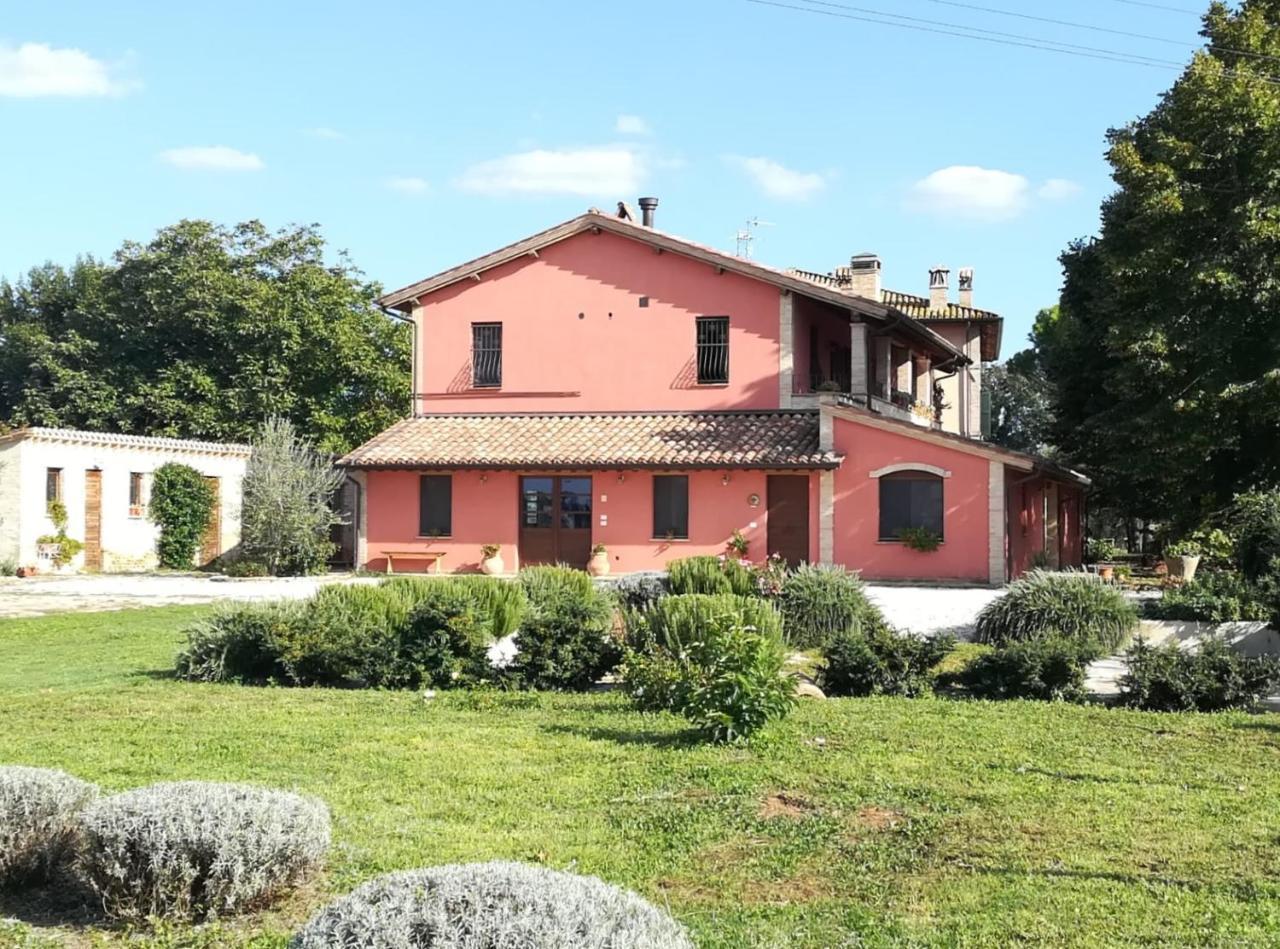 Bed and Breakfast La Casa Dei Tigli à Cannara Extérieur photo